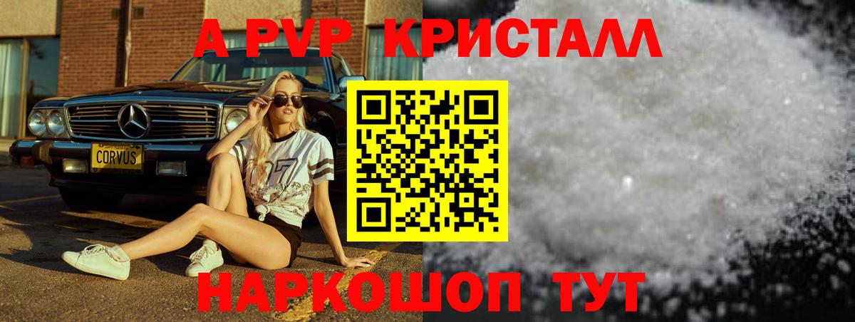 A PVP  Вход с VPN  Чита  сколько стоит  Alpha PVP СК  Alfa_PVP VHQ 
