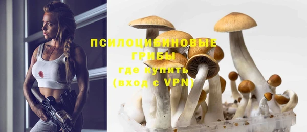 ECSTASY Абинск