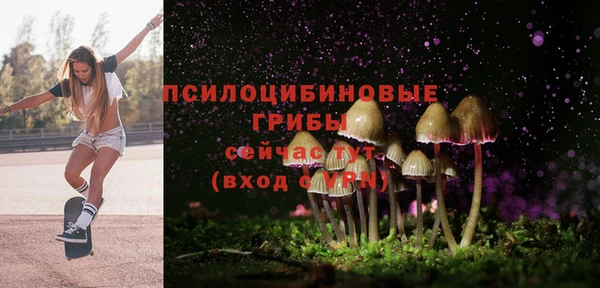 ECSTASY Абинск
