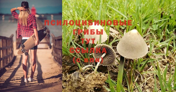 молекула духа Абаза
