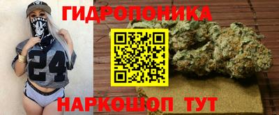 мяу мяу мука Гудермес