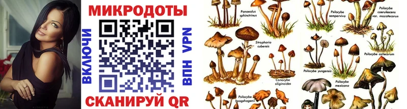 Псилоцибиновые грибы Magic Shrooms  Чита 