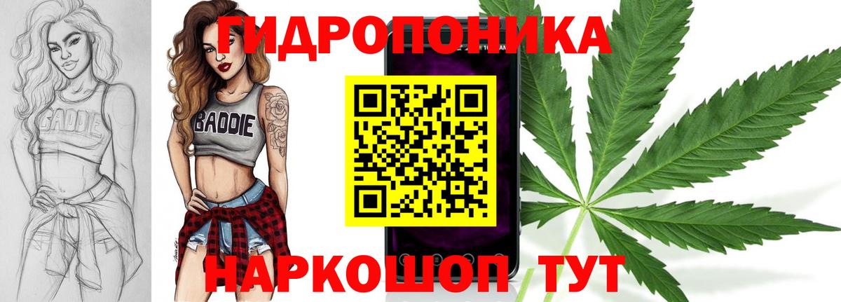 Бошки марихуана индика Чита